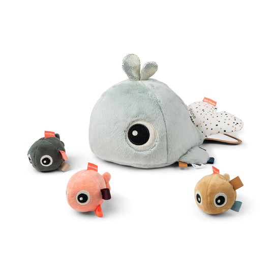 Hide & seek activity toy - wally - blue