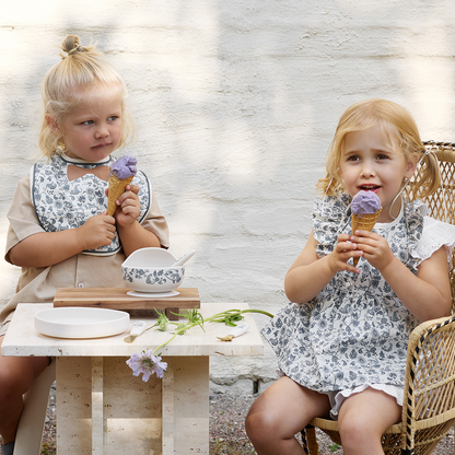 Silicone Bowl Set - Garden Leo Toile