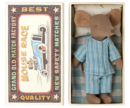 Big brother mouse in matchbox