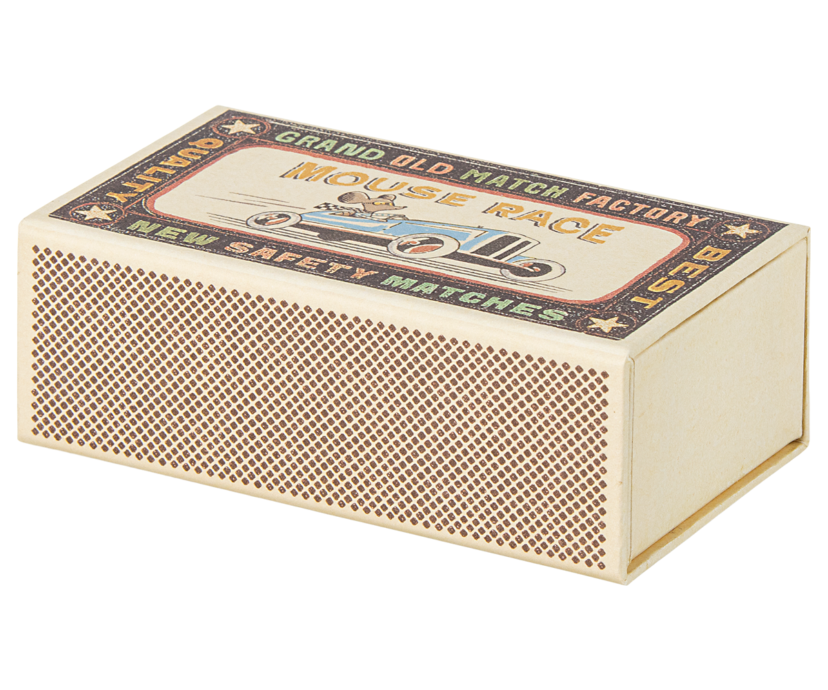 Big brother mouse in matchbox