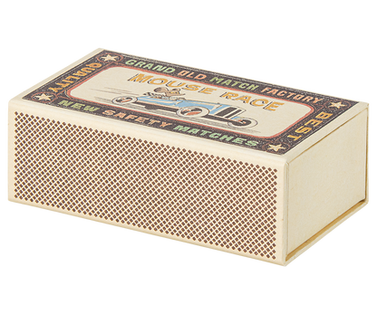 Big brother mouse in matchbox