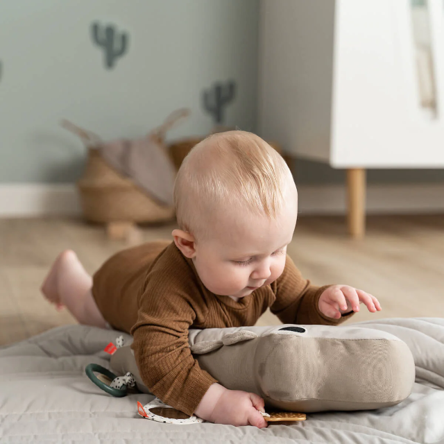 tummy time activity toy - croco - sand