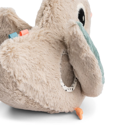 Hide & Seek Clucky