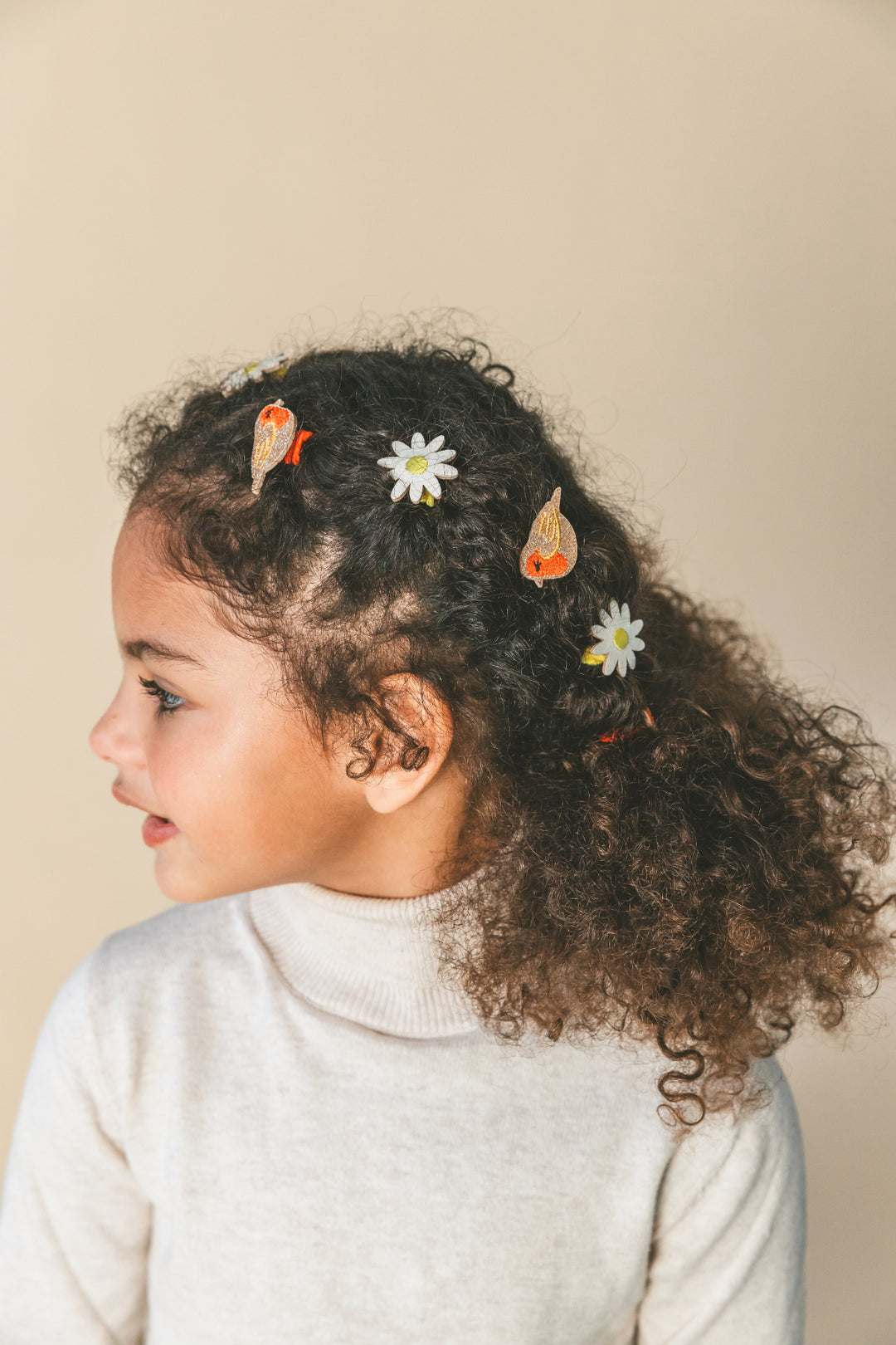Ruby the Robin Hair Clips (pair)