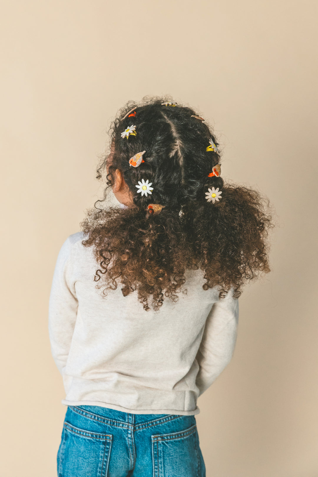Ruby the Robin Hair Clips (pair)